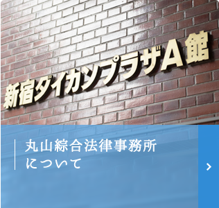 丸山綜合法律事務所について